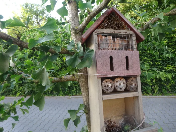 Insektenhotel im Apothekergarten Recke
